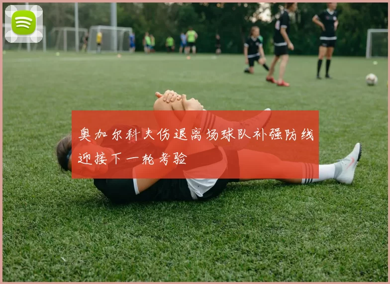 奥加尔科夫伤退离场球队补强防线迎接下一轮考验