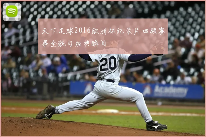 天下足球2016欧洲杯纪录片回顾赛事全貌与经典瞬间
