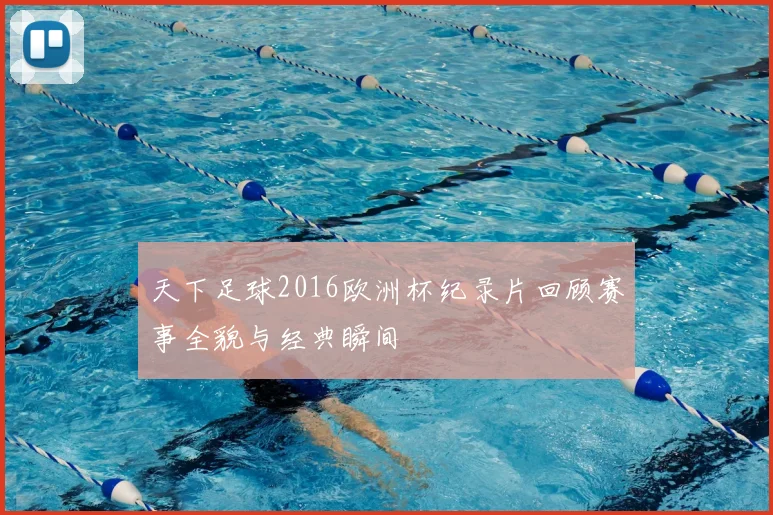 天下足球2016欧洲杯纪录片回顾赛事全貌与经典瞬间